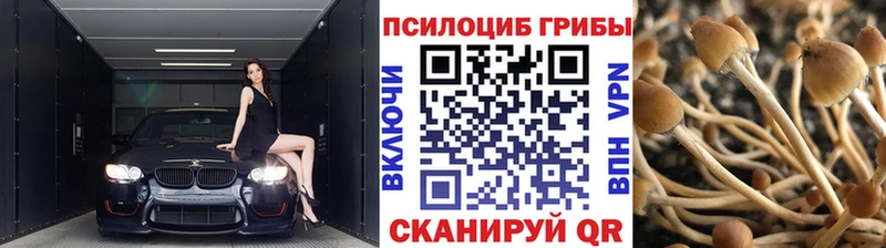 Купить где  Фрязино  Псилоцибиновые грибы мухоморы 